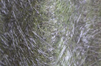 Crown fibreglass roof work